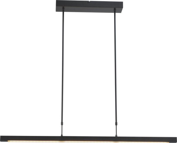 Suspension LED fine à intensité variable Lampe économique REAL