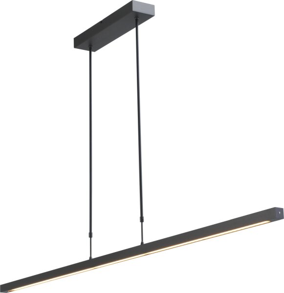 Suspension LED fine à intensité variable REAL noir mat
