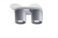 Plafonnier RODA en gris 2-flmg