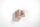 Applique LABERIA Bois Cube L:10cm Moderne compact