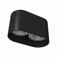 Projecteur noir ovale 2flmg