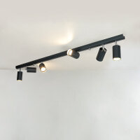 Spot de plafond en graphite 6-flmg