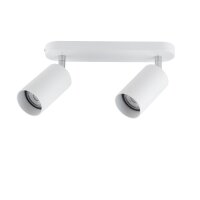 Spot de plafond en blanc 2flmg