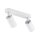 Spot de plafond en blanc 2flmg