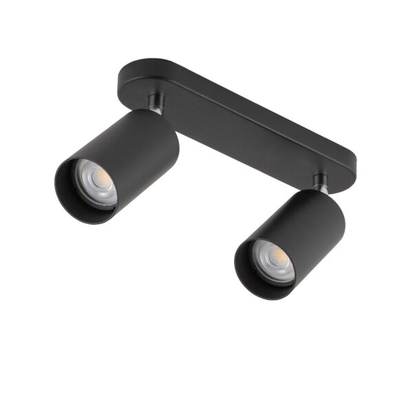 Spot de plafond en noir 2flmg