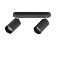 Spot de plafond en noir 2flmg