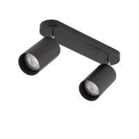 Spot de plafond en noir 2flmg