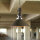 Loft Lampe à suspendre avec chaîne marron/cuivre