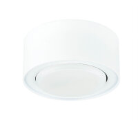 Spot de plafond blanc à faible...