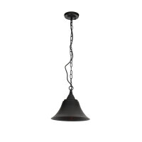 Lampe à suspendre Noir Vintage Ø 30 cm...