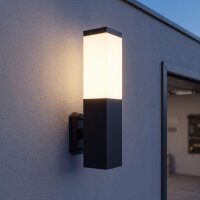 Lampe dext&eacute;rieur noir acier inoxydable IP44...