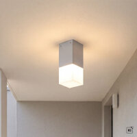 Lampe dextérieur plafond en argent IP44...