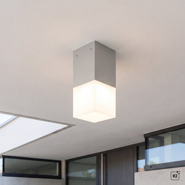 Plafonnier angulaire extérieur IP44 E27 en argent