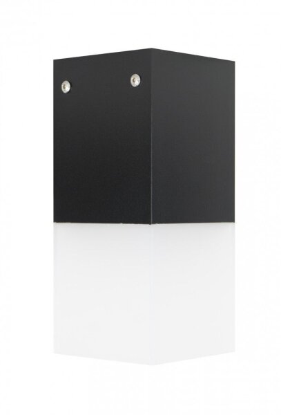 Plafonnier dextérieur AWERNE IP44 noir E27