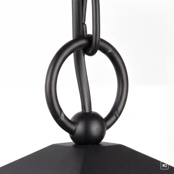 Lampe à suspendre noire extérieure Rustique IP43 BAARLE
