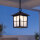 Lampe à suspendre noire extérieure Rustique IP43 BAARLE