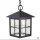 Lampe à suspendre noire extérieure Rustique IP43 BAARLE