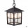 Lampe à suspendre noire extérieure Rustique IP43 BAARLE