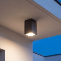 Lampe dext&eacute;rieur Anthracite IP54 H:21cm E27...