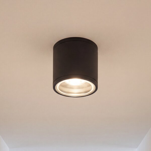 Plafonnier rond extérieur IP54 Ø9 cm Anthracite GU10
