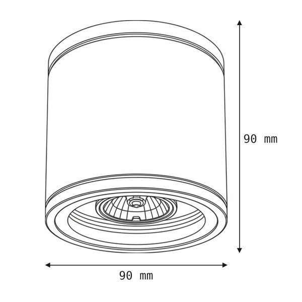 Plafonnier rond extérieur IP54 Ø9 cm Anthracite GU10