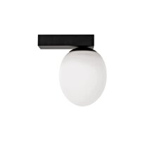 Petite lampe murale intérieure verre Abat-jour...