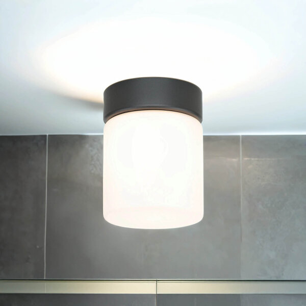 Petit plafonnier Blanc Noir Abat-jour en verre IP44