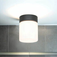 Petit plafonnier Blanc Noir Abat-jour en verre IP44