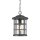 Suspension extérieure IP44 E27 Rustikal Noir antique