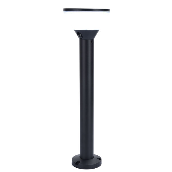Lampe dextérieur solaire à variation de couleur et détecteur de mouvement