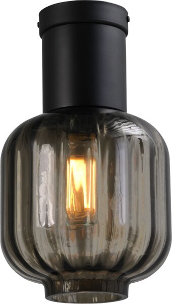 Lampe de plafond noir verre métal Ø 20 cm E27 Salon