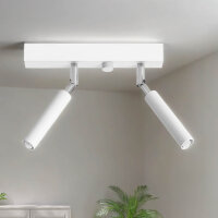 Projecteur de plafond SARGAS blanc 25 cm de large petit 2...