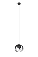 Lampe &agrave; suspendre Noir &Oslash; 16 cm rond...
