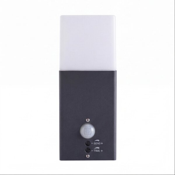 Lampe dextérieur avec détecteur de mouvement Anthracite E27 IP44 Mur