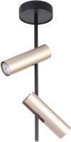 Spot de plafond flexible m&eacute;tal noir or GU10 2 flammes