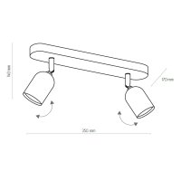 Spot de plafond en or noir GU10 2-flmg orientable