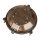 Applique murale dextérieur laiton Maritim Ø 21 cm E27 IP64