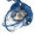 Lampe dextérieur murale IP64 E27 verre laiton bleu marine