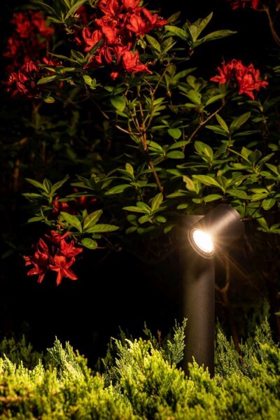 Lampe dallée IP54 noire GU10 55 cm verre aluminium orientable