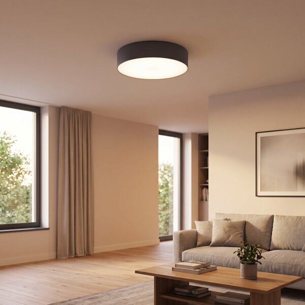 Plafonnier LED Ø 40,5 cm rond graphite