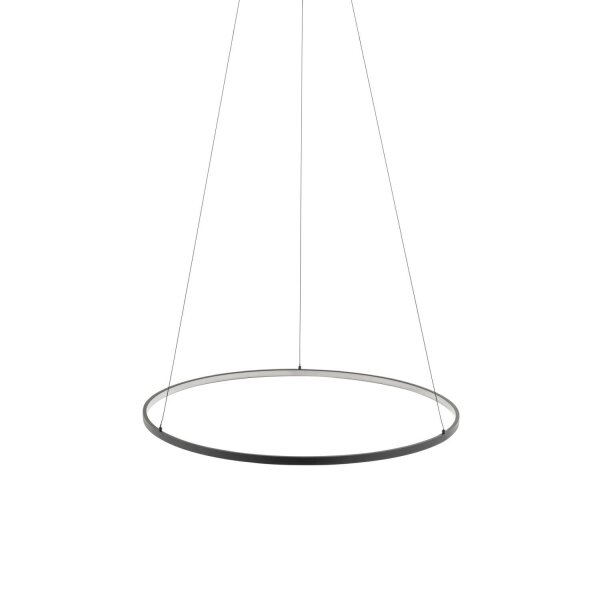 Suspension LED Noir 4000 K 700 lm Ø 60 cm Métal