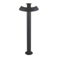 Lampe dextérieur LED anthracite IP44 4000 K 505 lm...