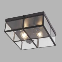 Plafonnier 2 flammes E14 noir mat verre métal