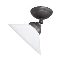 Spot de plafond orientable &Oslash; 24,5 cm verre laiton E27