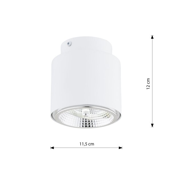 Spot de plafond blanc apparent Ø 11,5 cm H : 12 cm GU10 AR111 Métal