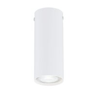 Plafonnier rond Ø 6 cm H : 15 cm Métal...