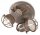 Spot lampe m&eacute;tal c&eacute;ramique ajustable E14 2 flammes