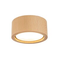 Plafonnier rond Ø 9,5 cm H : 4,5 cm En saillie...