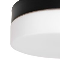 Plafonnier LED rond verre métal IP44 Ø24 cm...
