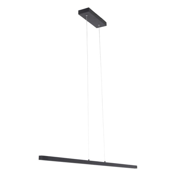 Lampe LED à suspendre noire L:114 cm 20 W 2700 K Moderne